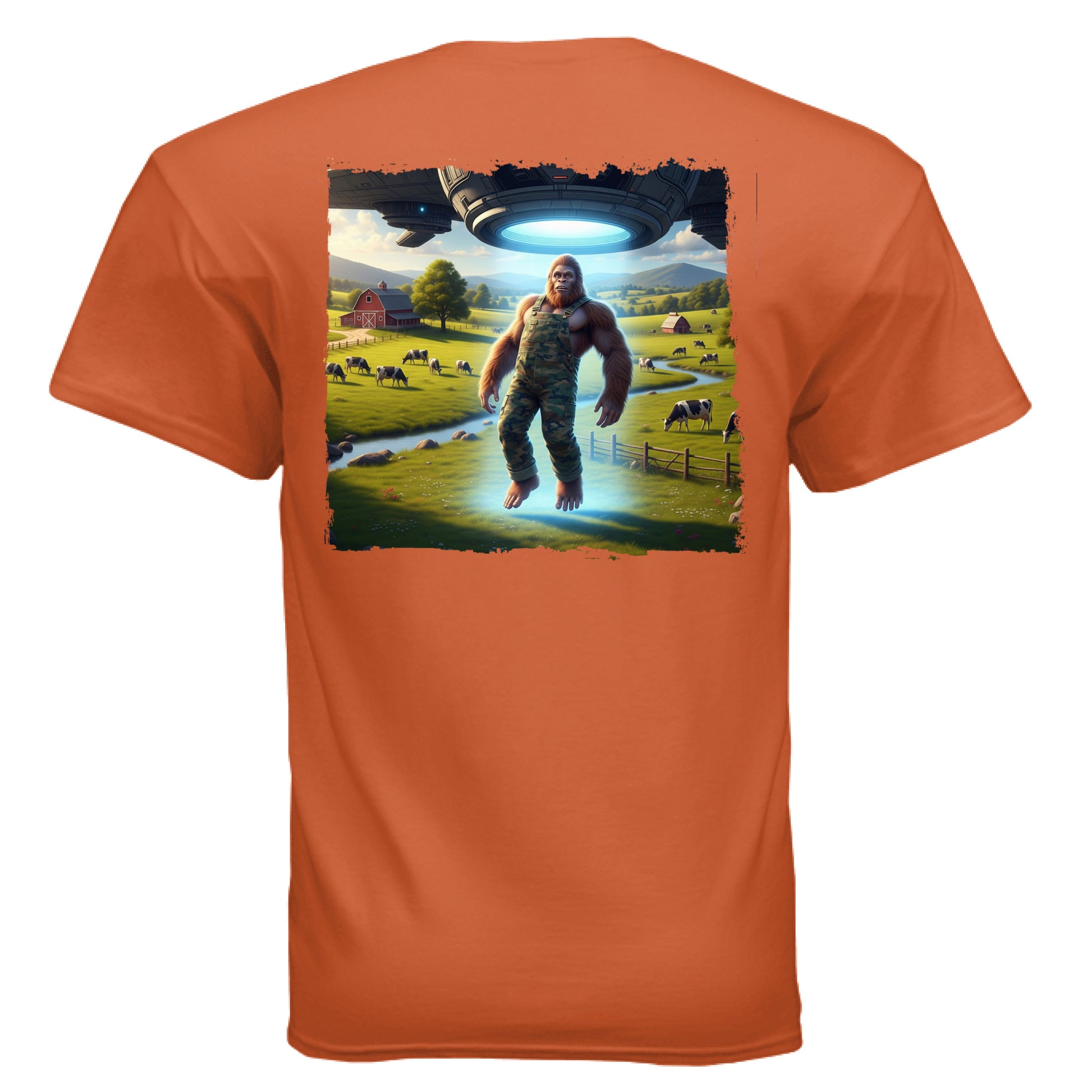 ORANGE - BACK