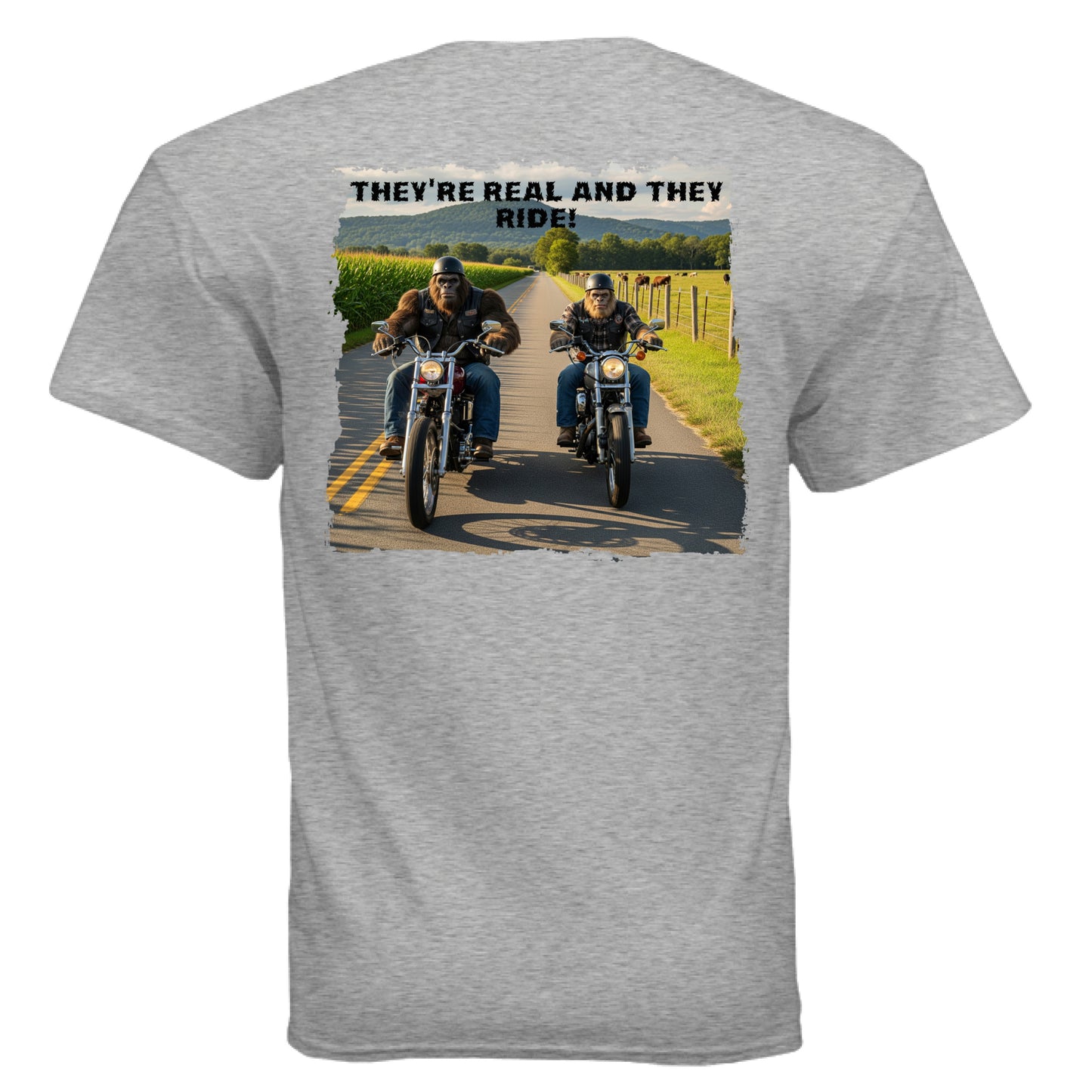 SPORT GREY - BACK